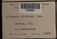 Image Associated With the Occurence